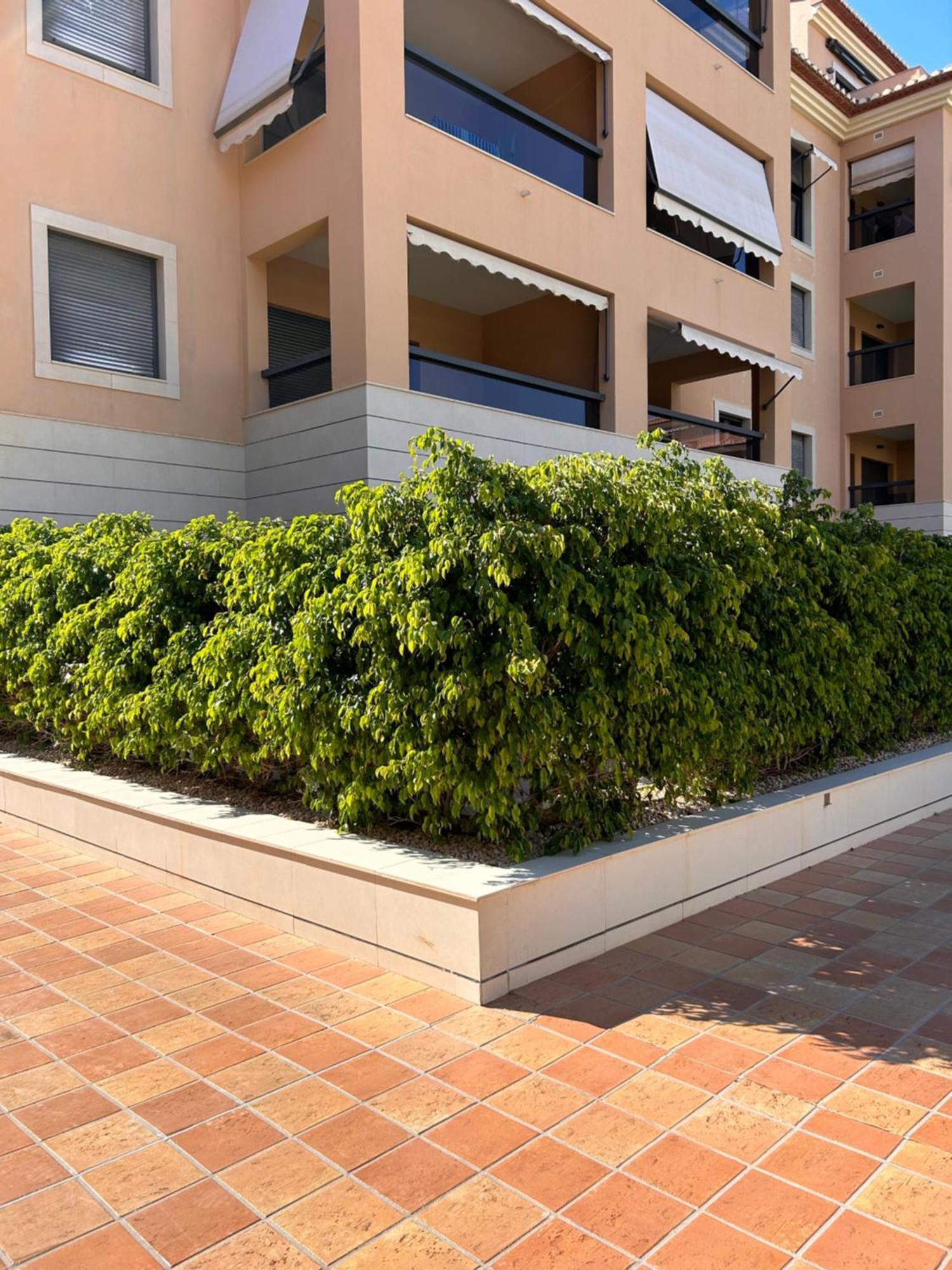 Jardines De Las Marinas Con Una Gran Terraza Apartment Denia Exterior photo